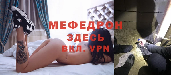шишки Ельня
