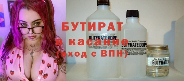 шишки Ельня