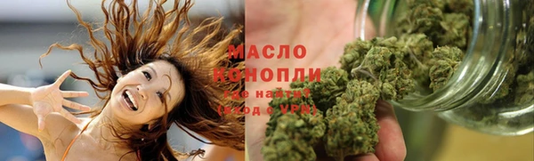 шишки Ельня