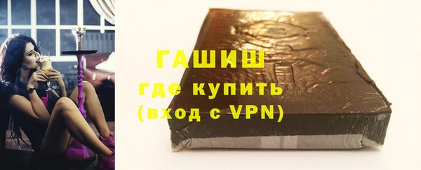 шишки Ельня