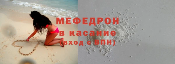 шишки Ельня
