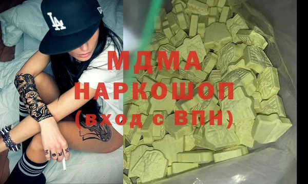 шишки Ельня