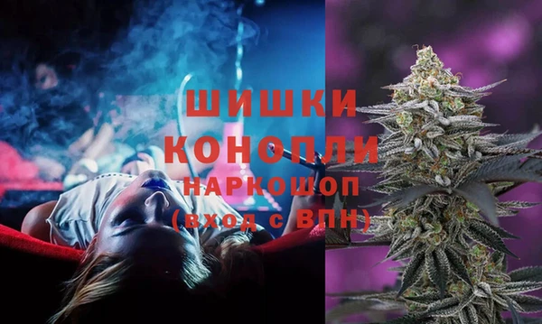 гидропоника Елабуга