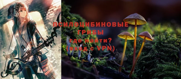 шишки Ельня