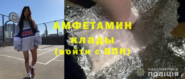 шишки Ельня