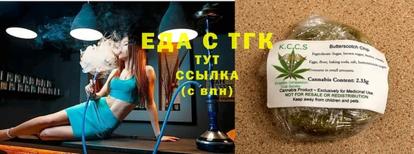 шишки Ельня