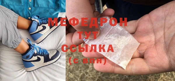 шишки Ельня