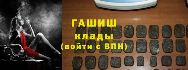 шишки Ельня