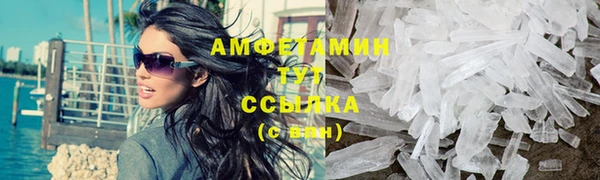 шишки Ельня
