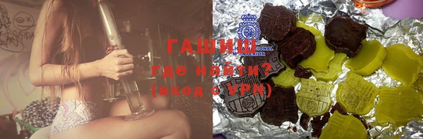 шишки Ельня