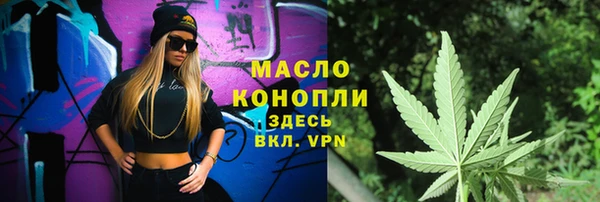 шишки Ельня