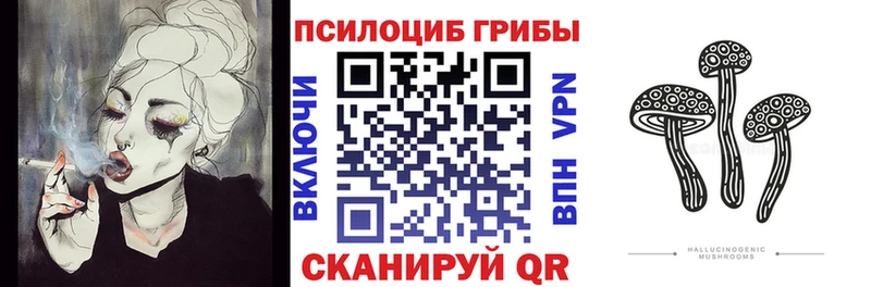 купить наркотик Серпухов ОМГ ОМГ рабочий сайт Галлюциногенные грибы MAGIC MUSHROOMS